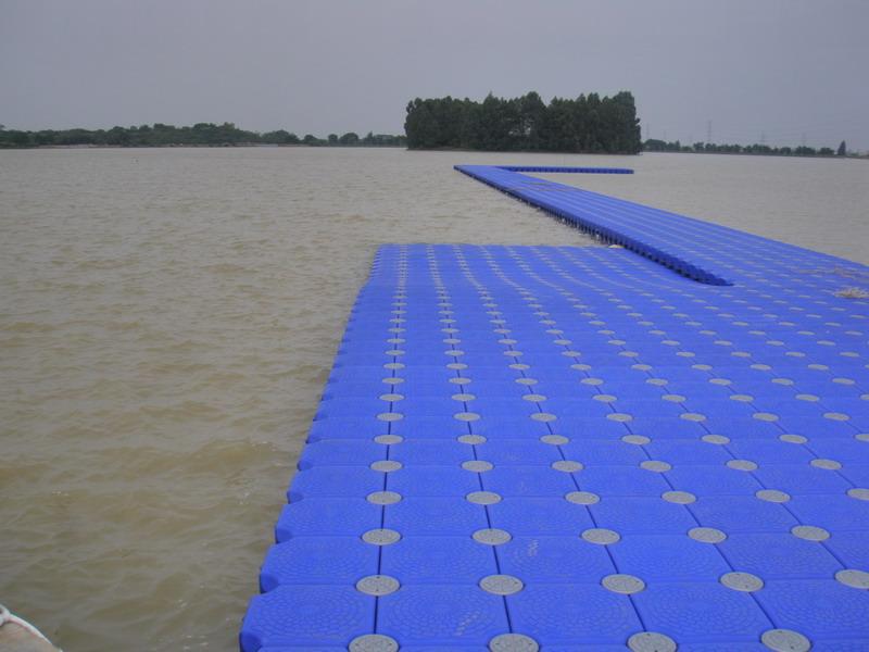 8976350.jpg